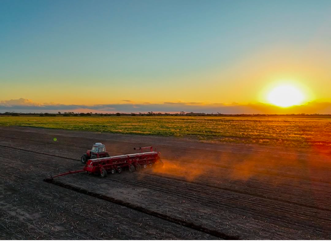 Campos agrícolas